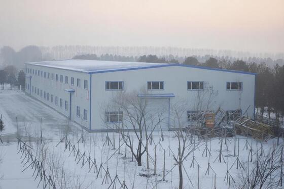 Qualität Vorgefertigte Leichtstahlkonstruktion Bau Bau Billiges Lagerhaus usine