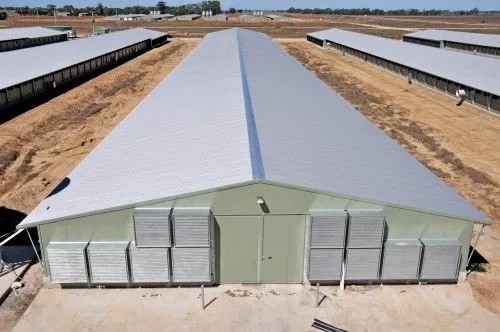 Vorgefertigte H-Strahl Stahlkonstruktion Geflügelhaus Sandwich Panel Isolierung 0